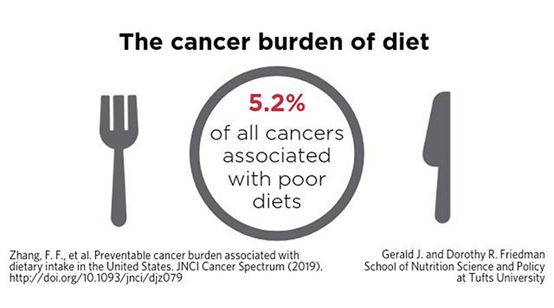 A new study estimates that 5.2 percent of new invasive cancer cases reported in 2015 are associated with poor diets. Credit Nako Kobayashi/Tufts University