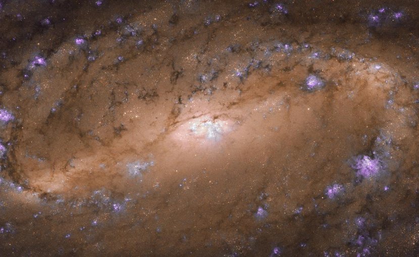 NGC 2903 is located about 30 million light-years away in the constellation of Leo (the Lion), and was studied as part of a Hubble survey of the central regions of roughly 145 nearby disk galaxies. Credit ESA/Hubble & NASA, L. Ho et al.