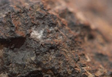 The white inclusions on this chondrite meteorite are called CAIs. Rich in calcium and aluminum they are among the oldest solid matter in the solar system. Credit © 2019 Rohan Mehra - Division for Strategic Public Relations