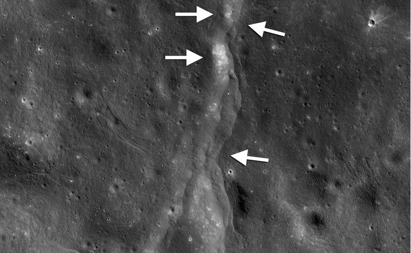 This prominent thrust fault is one of thousands discovered on the moon by NASA's Lunar Reconnaissance Orbiter (LRO). These faults resemble small stair-shaped cliffs, or scarps, when seen from the lunar surface. The scarps form when one section of the moon's crust (left-pointing arrows) is pushed up over an adjacent section (right-pointing arrows) as the moon's interior cools and shrinks. New research suggests that these faults may still be active today. Credit LROC NAC frame M190844037LR; NASA/GSFC/Arizona State University/Smithsonian