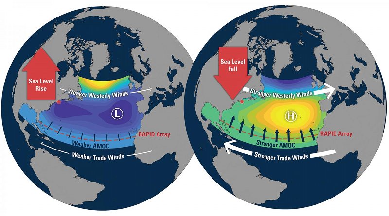 As the North Atlantic Oscillation (NAO) changes, it affects the trade winds, which blow from the east across the tropical Atlantic. When the NAO is high, the trade winds are stronger than normal, which in turn strengthens the Atlantic Meridional Overturning Circulation (AMOC). But at the same time, the westerly winds over New England are also stronger than usual. Together with unusually high air pressure on the northeast coast, this lowers the average sea level. It's wind and pressure that are driving both phenomena. Credit Illustration by Natalie Renier, Woods Hole Oceanographic Institution