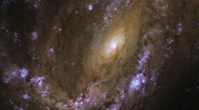 The subject of this image, a spiral galaxy named NGC 4051 -- about 45 million light-years from Earth -- has hosted multiple supernovae in past years. The first was spotted in 1983 (SN 1983I), the second in 2003 (SN 2003ie), and the most recent in 2010 (SN 2010br). These explosive events were seen scattered throughout the center and spiral arms of NGC 4051. Credit ESA/Hubble & NASA, D. Crenshaw and O. Fox