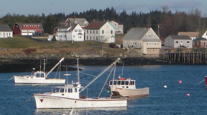 These are lobster boats anchored off Cutler, Maine. Credit Malin Pinsky/Rutgers University-New Brunswick
