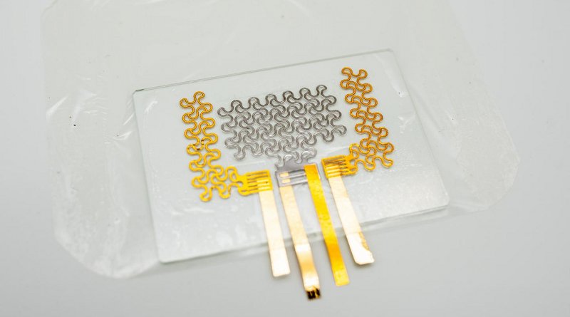 Stretchable e-tattoo enables heart monitoring for days. Credit Cockrell School of Engineering, The University of Texas at Austin