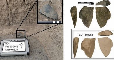 A large green artifact found in situ at the Bokol Dora site. Right: Image of the same artifact and a three dimensional model of the same artifact. Credit David R. Braun