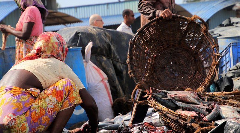 Fish market in Sri Lanka