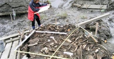 Alla Mashezerskaya maps the artefacts in the area where two 31,000-year-old milk teeth were found. Credit Elena Pavlova