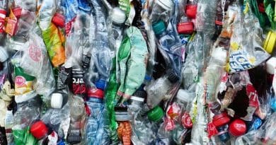 recycling bottle plastic