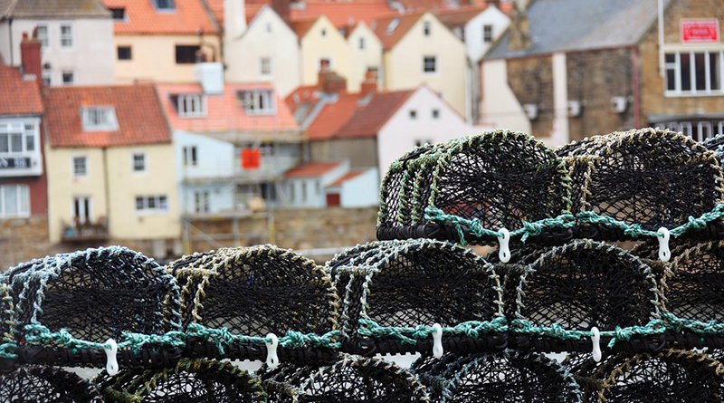 crab pot fishing basket