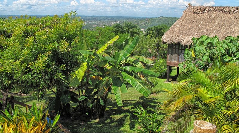 Agricultural land in Peru