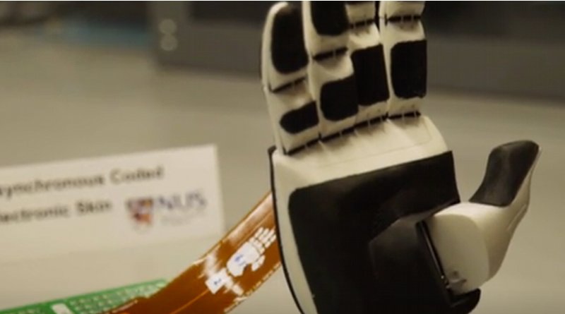 NUS researchers have developed an ultra responsive and robust artificial nervous system for e-skins. Credit: Screenshot from National University of Singapore video