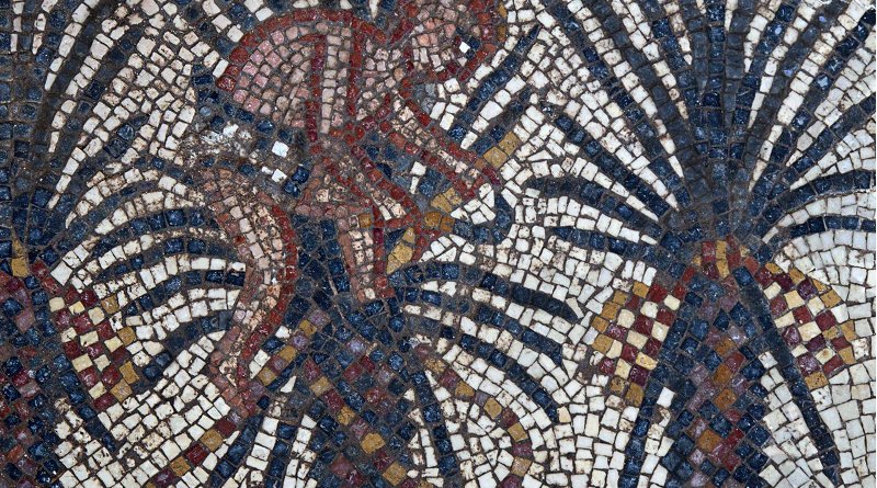 Elim mosaic detail, Huqoq Excavation Project. Copyright Jim Haberman. All rights reserved. Courtesy: UNC-Chapel Hill. Credit Copyright Jim Haberman