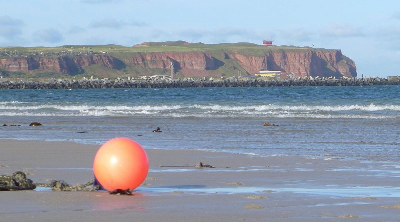 Heligoland is Germany's only true offshore island, famous for its seabirds, seals and duty-free shopping rather than for microscopic algae. But what the MPI-scientists were interested in was the fate of the organic matter once the algae die. Credit Max Planck Institute for Marine Microbiology, Naomi Esken