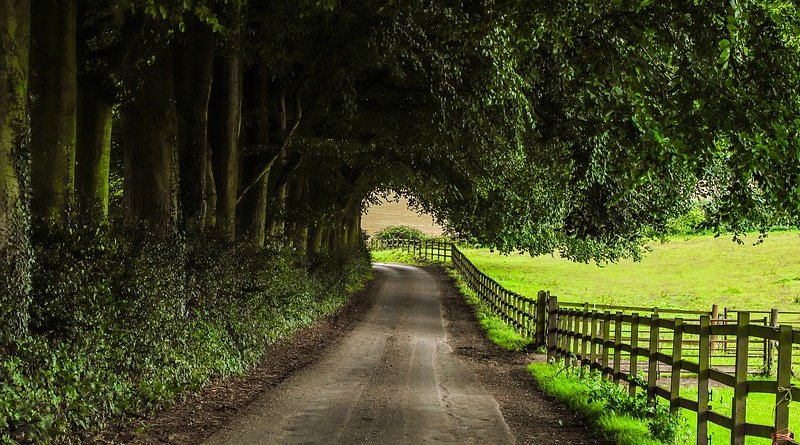 Country road in England