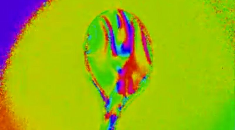 Polarization, the direction in which light vibrates, is invisible to the human eye but provides a lot of information about the objects with which it interacts. For example, polarized light highlights the defects in this plastic spoon. Source: Screenshot of Harvard SEAS video