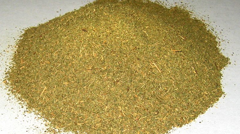 Typical powdered commercial Kratom, Mitragyna speciosa. Source: Wikipedia Commons.