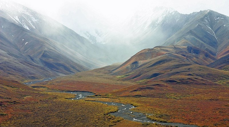 Tundra in Alaska