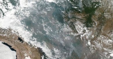 VIIRS scan of the Amazon basin on August 20, 2019, depicting several wildfires and the smoke produced. Photo Credit: NASA
