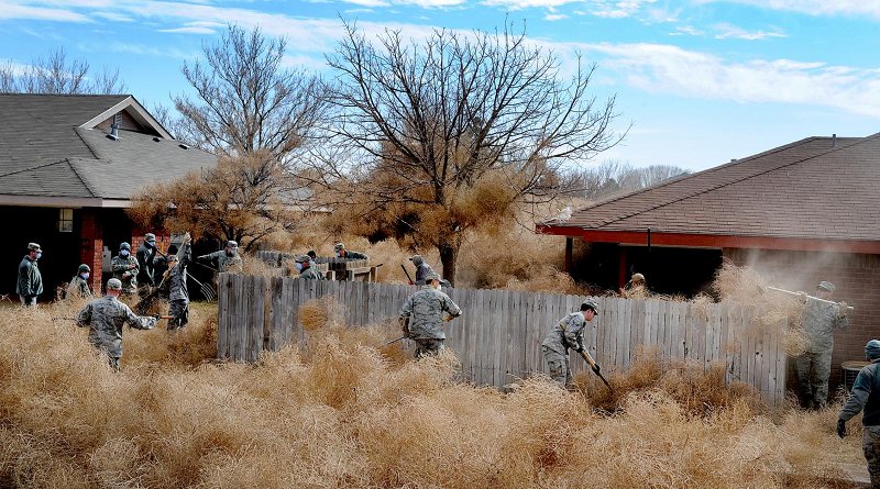 Commandos from Cannon Air Force Base, N.M., clear tumbleweeds from a residential area in Clovis, N.M., 2014. Credit U.S. Air Force/Senior Airman Ericka Engblom