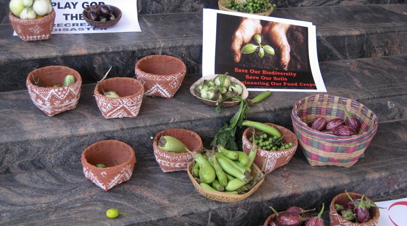 Baskets of many different kind of Brinjal (aka "Eggplant") put out by protesters during the listening tour of India's environment minister relating to the introduction of BT Brinjal. Spring 2010 in Bangalore, India. Photo Credit: Infoeco, Wikipedia Commons.