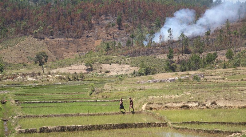 Deforestation in Madagascar Credit Johannes Nyman