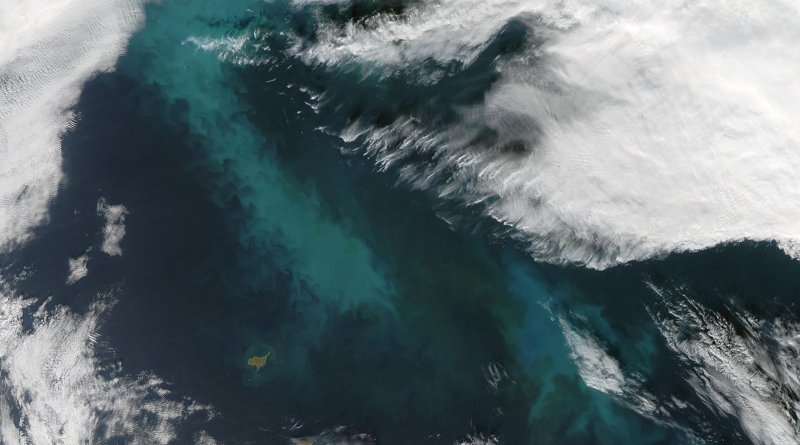 This is a 2009 phytoplankton bloom in the Bering Sea. Cloud seed bacteria may feed on phytoplankton. Credit NASA, Jeff Schmaltz, MODIS Rapid Response Team, Goddard Space Flight Center