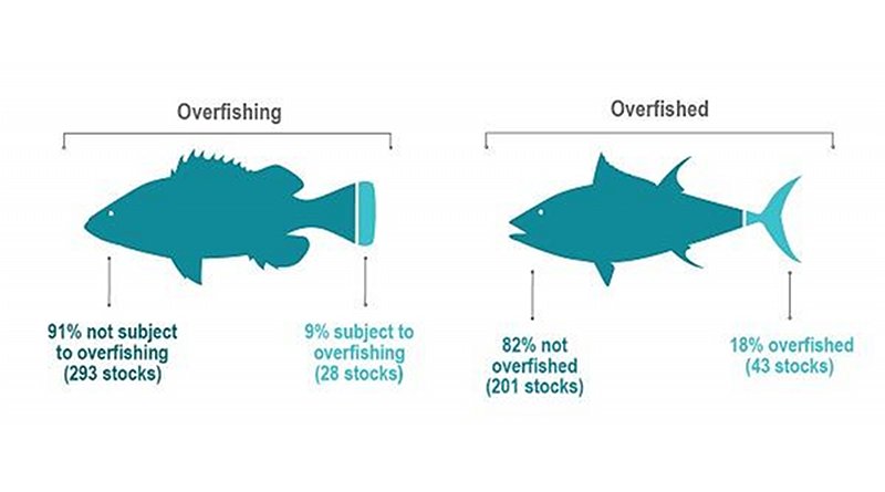Of 321 stocks with known status, 293 (91%) are not subject to overfishing. Of 244 stocks with known status, 201 (or 82%) are not overfished, leaving 43 stocks (18%) listed as overfished. (NOAA) Credit NOAA