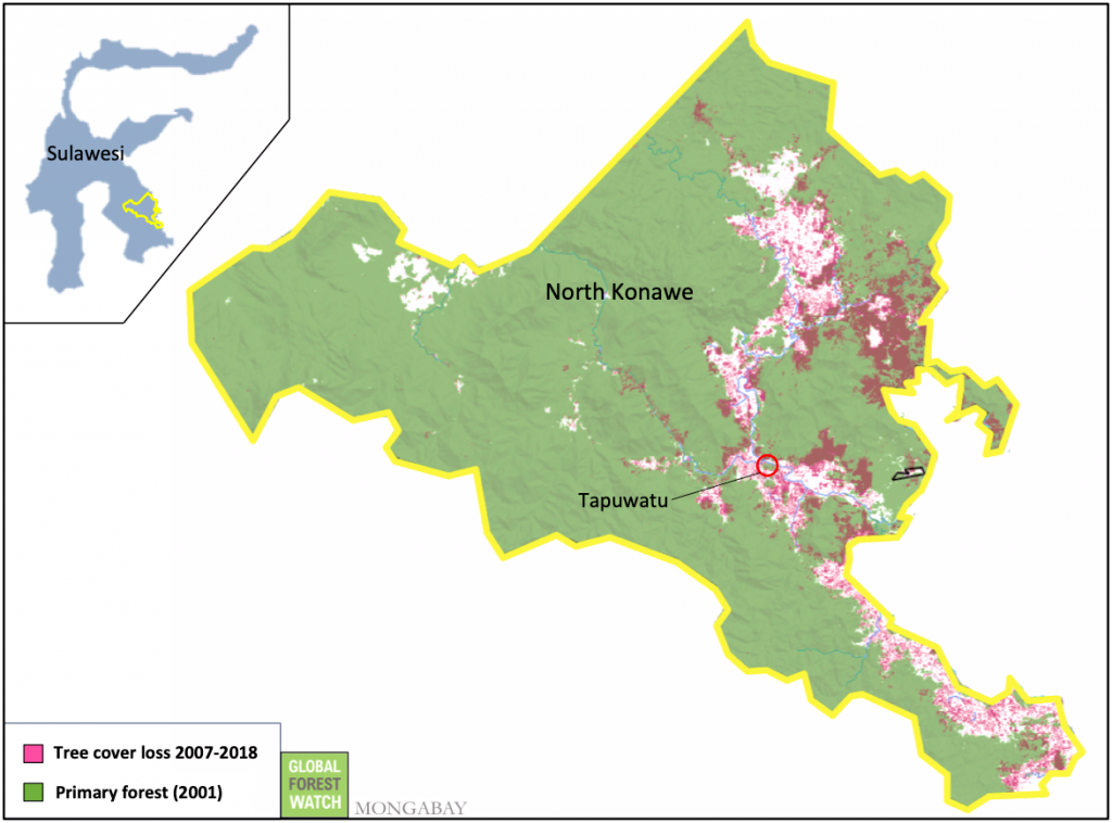 Deforestation in North Konawe. Source: Hansen/UMD/Google/USGS/NASA, accessed through Global Forest Watch.