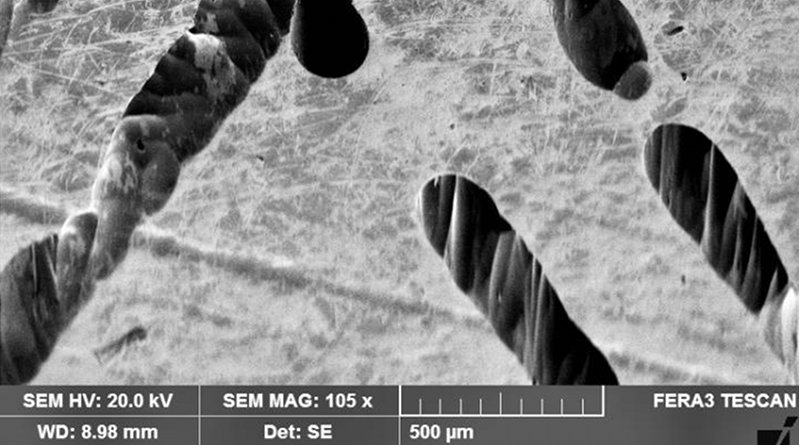 This is an SEM image of the corroded Ni surface. Credit Mengying Liu, Texas A&M University