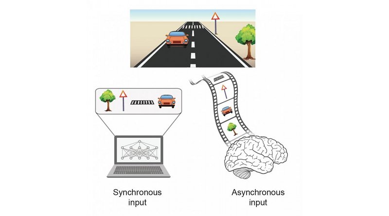 Processing an event with multiple objects. A synchronous input where all objects are presented simultaneously to a computer (left), versus an asynchronous input where objects are presented with temporal order to the brain (right). Credit Prof. Ido Kanter