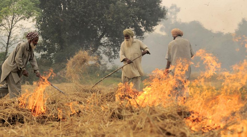 Burning of rice residues in southeast Punjab, India, prior to the wheat season. Credit ©Neil Palmer/CIAT