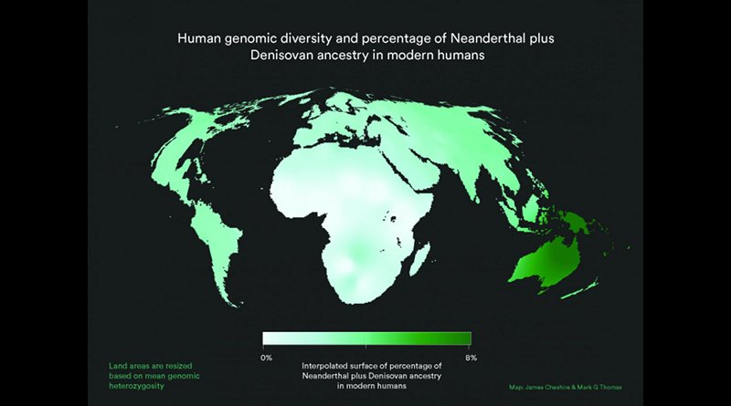 World map with land area resized to represent modern human genetic diversity and colour representing Neanderthal plus Denisovan ancestry. As can be seen, contributions from other populations to the Homo sapiens gene pool are small and unevenly distributed. Africa is disproportionately large because the great human genetic diversity - and hence the roots of humanity - are found here. Credit James Cheshire/Mark G. Thomas