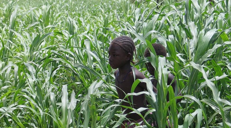 africa children in Mali