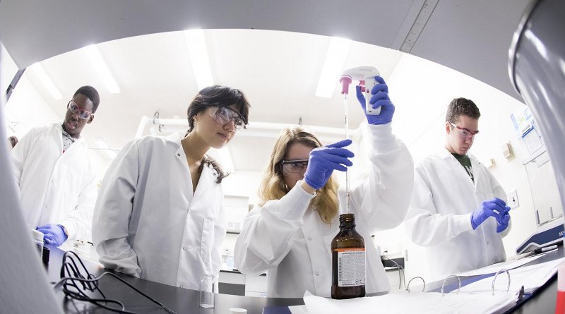 Students in the First-Year Research Immersion program work in a laboratory. Credit Binghamton University, State University of New York