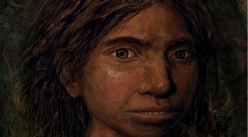 This image shows a portrait of a juvenile female Denisovan based on a skeletal profile reconstructed from ancient DNA methylation maps. Credit Maayan Harel