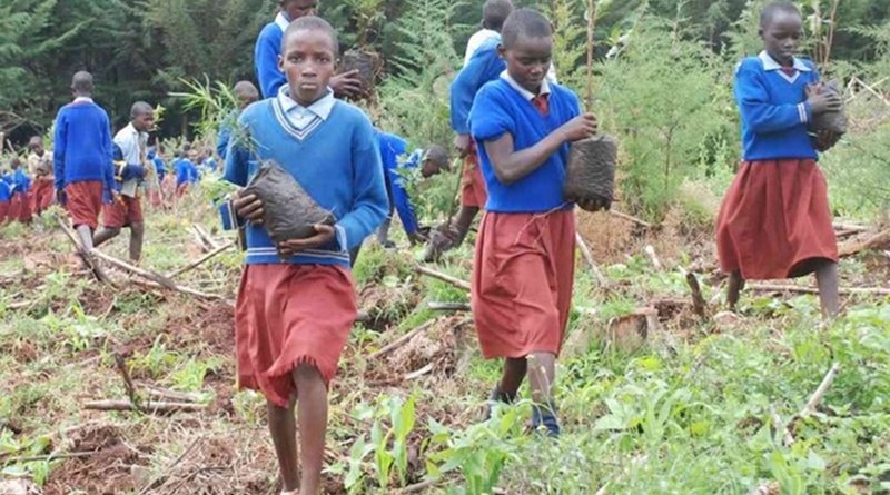 Kenyan children planting trees. Source: The African News Journal.