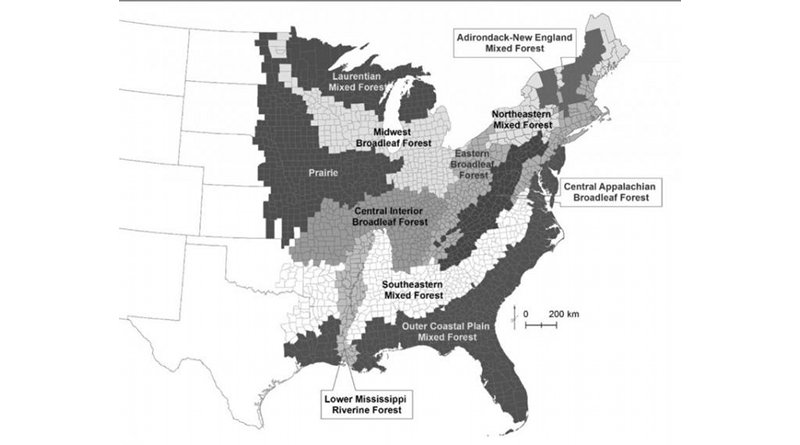 This map shows units where the researchers collected data from forest inventory areas maintained and surveyed every five years by the US Department of Agriculture Forest Service, along with forest types in the eastern United States. Credit Penn State