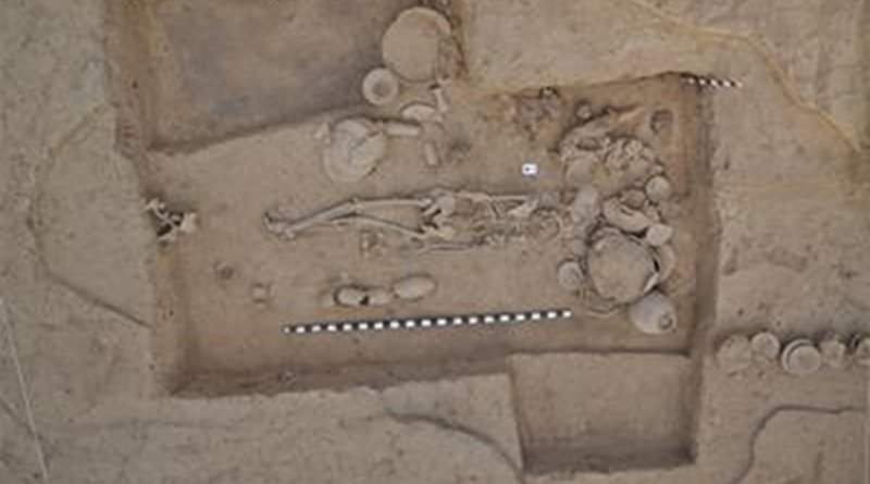 The first sequenced genome from an archaeological site associated with the ancient Indus Valley Civilization came from this woman buried at the city of Rakhigarhi. Credit Vasant Shinde/Cell