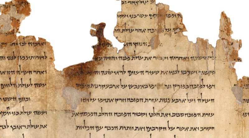 Portion of the Temple Scroll. Photo Credit: Israel Museum, Wikipedia Commons