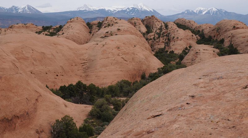 Navajo Sandstone from the Moab area taken by study co-author Stephen T. Hasiotis. Credit Stephen T. Hasiotis