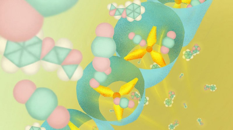 This new porous coordination polymer has propeller-shaped molecular structures that enables selectively capturing CO2, and efficiently convert the CO2 into useful carbon materials. Credit Illustration by Mindy Takamiya