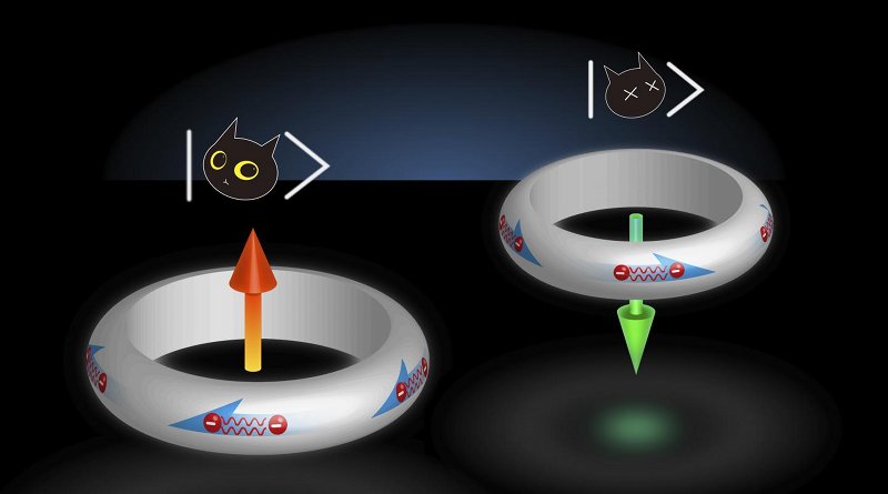 A visual representation of a qubit, which can exist simultaneously between two states. A famous example of a qubit is Schrodinger's cat, a hypothetical cat that can be both dead and alive. Similarly, a flux qubit, or a ring made of a superconducting material, can have electric current flowing both clockwise and counterclockwise at the same time. Credit Yufan Li