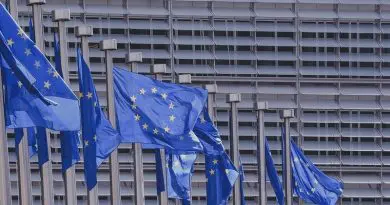 european parliament flag