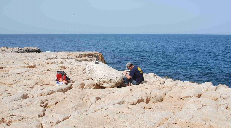 Klaus Reicherter from the University of Aachen examines a boulder that the tsunami carried onto the cliffs. CREDIT © Photo: Gösta Hoffmann/Uni Bonn