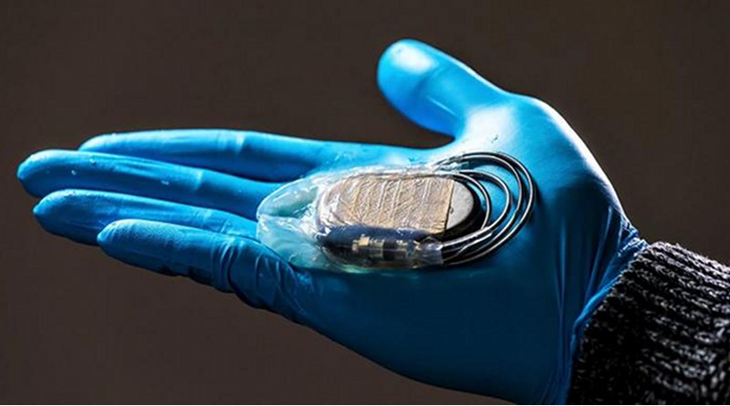This is a cellulose membrane for protecting pacemakers. CREDIT Hylomorph