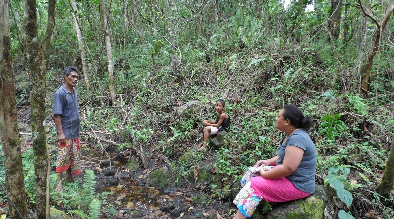 Dr Anita Latai-Niusulu interviewing a Samoan farmer CREDIT Dr Anita Latai-Niusulu