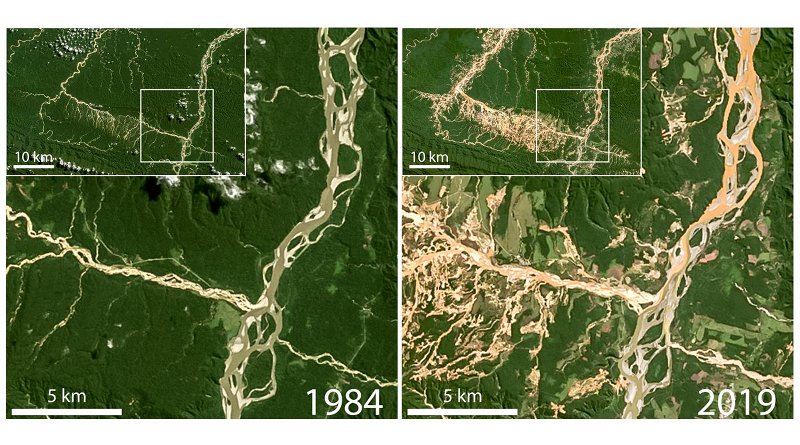 Satellite images used in the study show deforestation and elevated suspended sediment (orange/brown water) due to gold mining operations in the Rio Inambari and Rio Colorado watersheds in Peru. Credit Images are from NASA LandSat. Figure compiled by Evan N. Dethier.