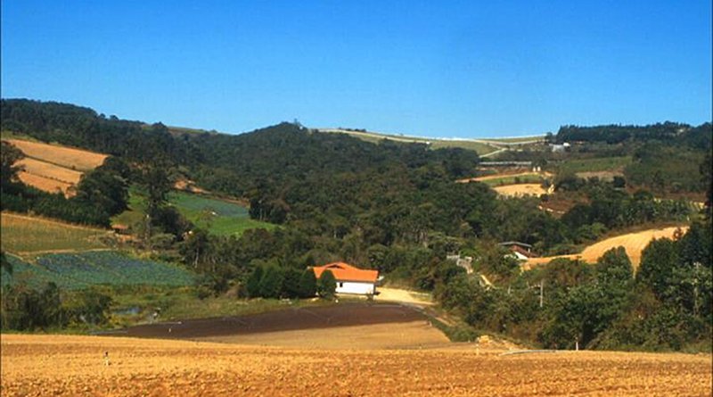 This is a legal reserve in Caucaia do Alto, Ibiúna, São Paulo State. CREDIT Jean Paul Metzger