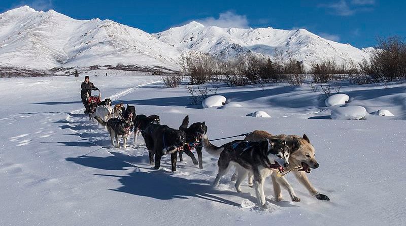 Denali National Park and Preserve - Wikipedia