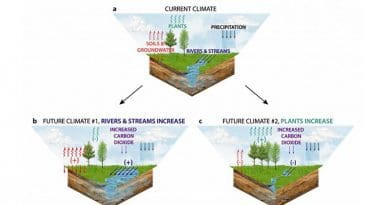 Allocation of water in the current climate and two future climates with high carbon dioxide. Future climate 1: where plant stomata close in response to high carbon dioxide, increasing water in rivers and soils, making the land wetter. Future climate 2: where longer- and warmer-growing seasons and additional plant growth decrease water in rivers and soils, making the land drier. CREDIT Figure provided by Justin S. Mankin.